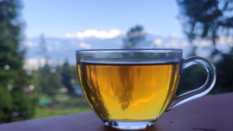 Himalayan Cloud's Homestay - image 1