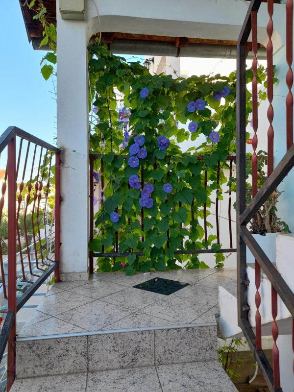 Two-Bedroom Apartment image 3