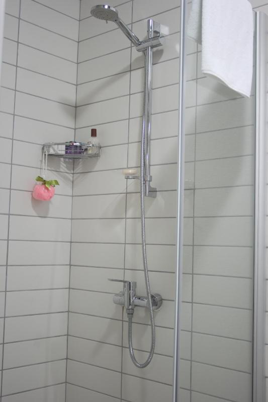 Superior One-Bedroom Apartment (4 Adults) image 4