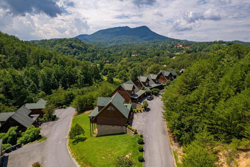 Luxurious Family Mountain Cabin - image 14