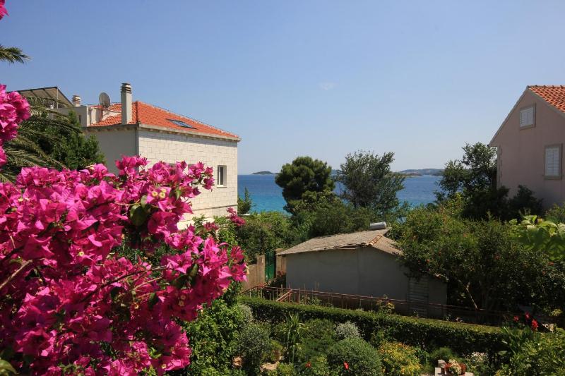 Apartments by the sea Orebic Peljesac - 275 - image 47