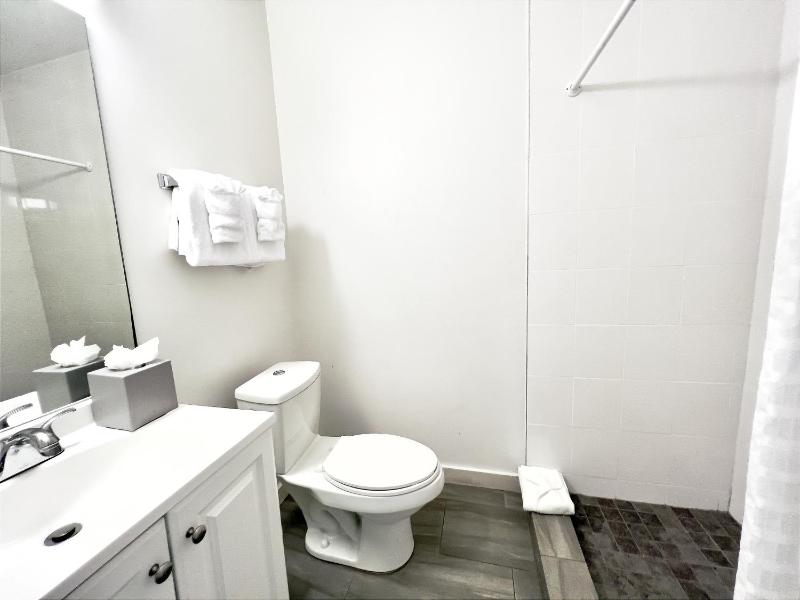 One-Bedroom King Suite image 3
