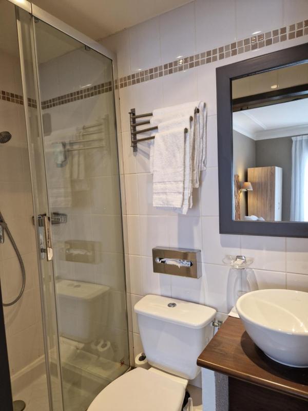 Double or Twin Superior Room image 4