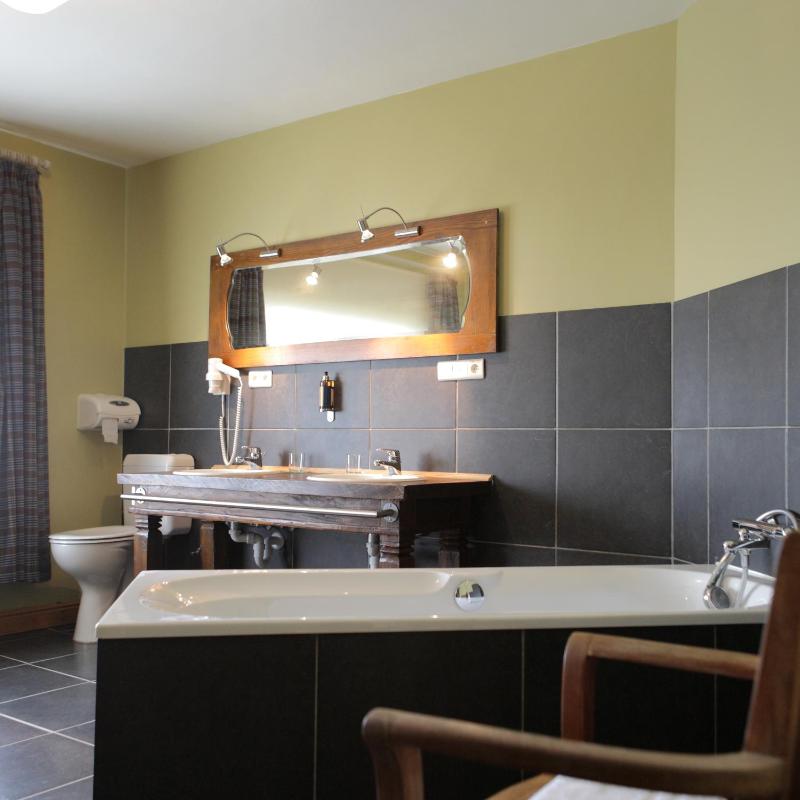 Deluxe Double or Twin Room image 4