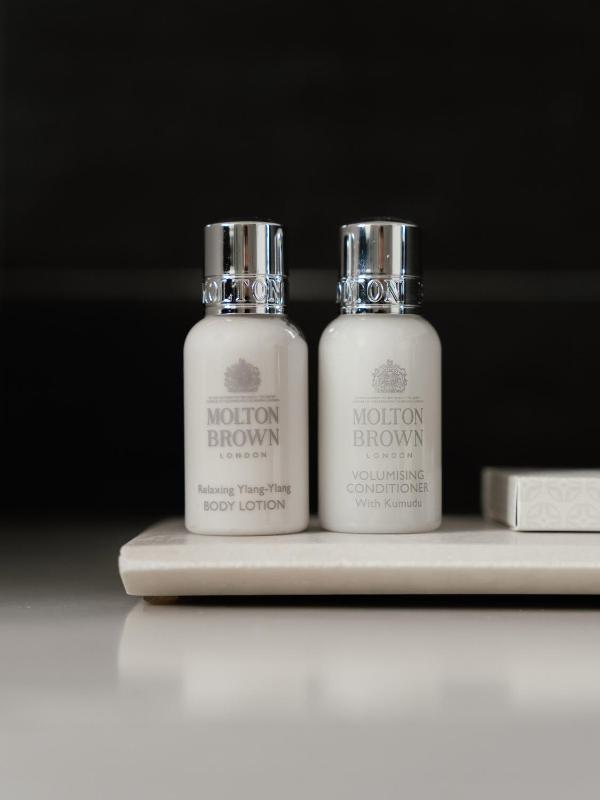 Deluxe Queen Suite image 3