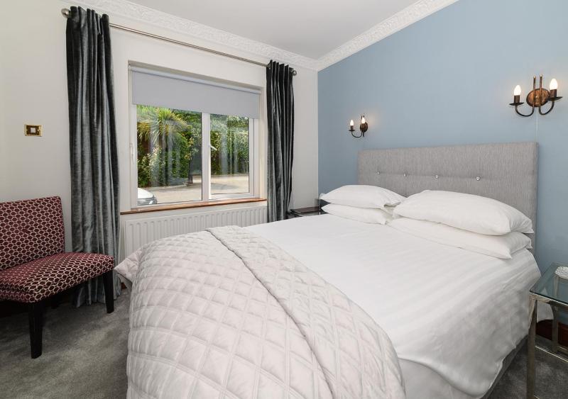 Deluxe Double Room image 3