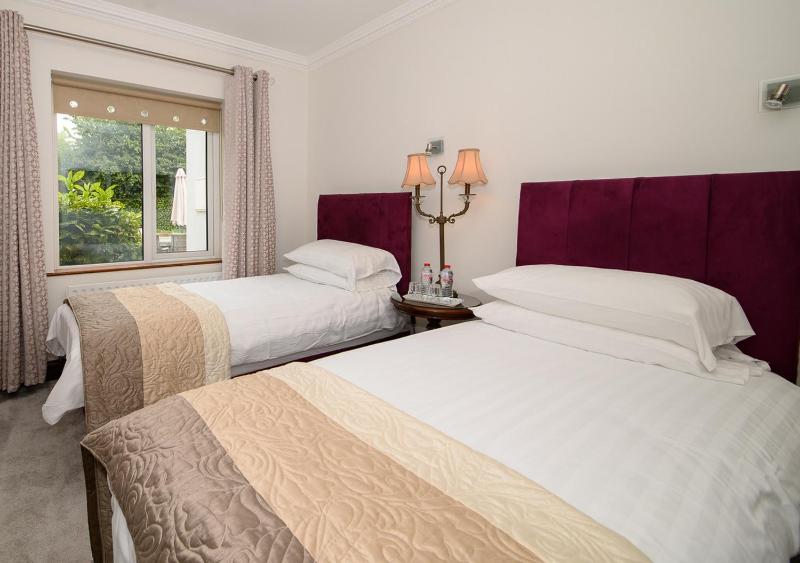 Deluxe Twin Room image 1