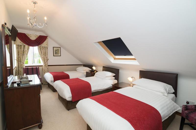 Deluxe Triple Room image 1