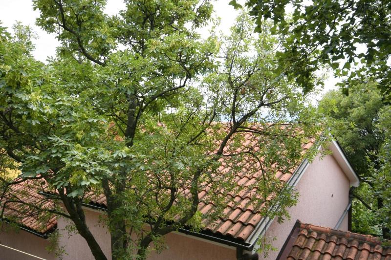 One-Bedroom Apartment with Terrace image 3