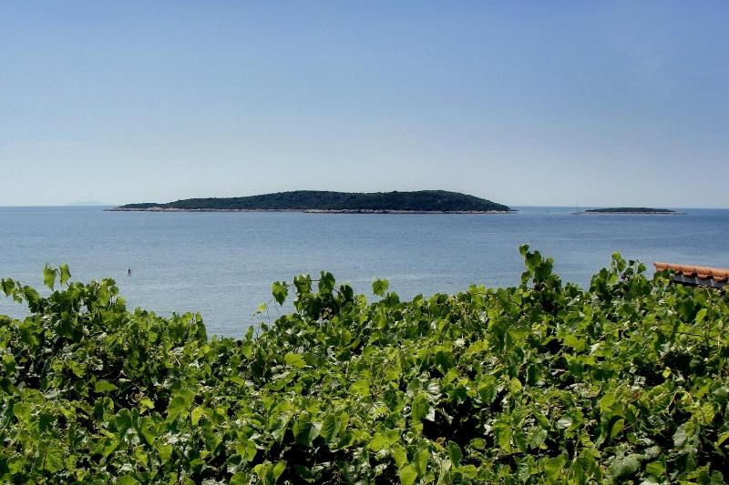 One-Bedroom Apartment with Terrace and Sea View image 4