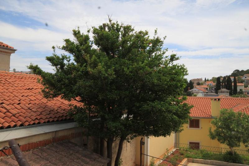 Apartments and rooms with parking space Mali Losinj (Losinj) - 2486 - image 17