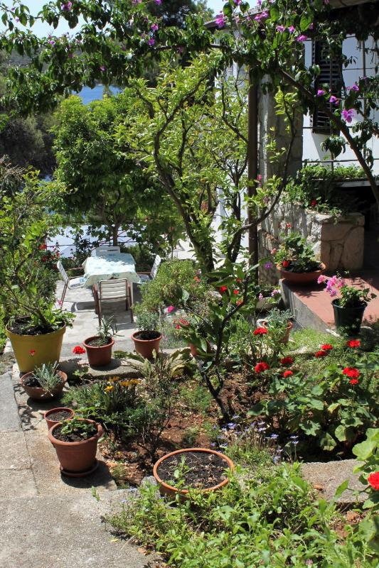 Apartments by the sea Mali Losinj (Losinj) - 2493 - image 21