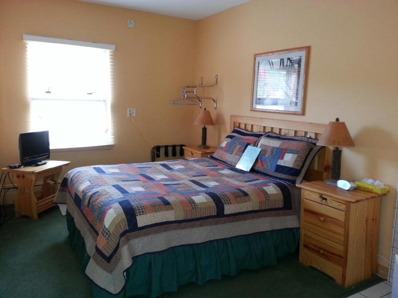Deluxe Suite image 2