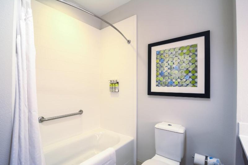 Holiday Inn Express Hotel & Suites Tampa-USF-Busch Gardens By IHG - image 24