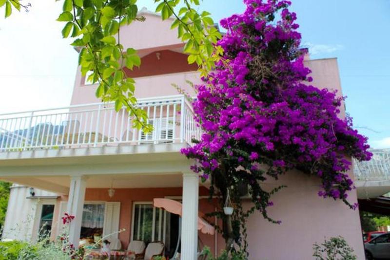 Apartments with parking space Orebic Peljesac - 14834 - image 9