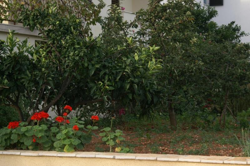Apartments with parking space Supetar Brac - 2845 - image 7