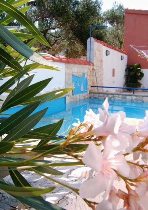 Apartments with swimming pool Splitska Brac - 2889 - image 25