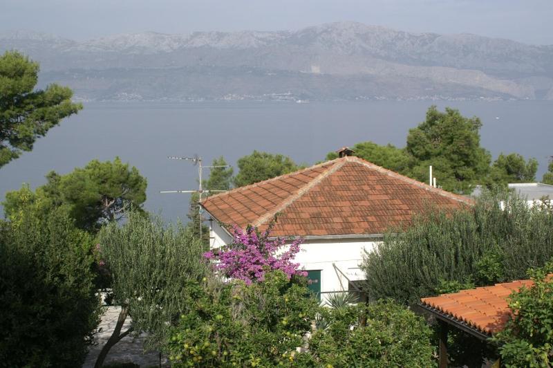 Apartments by the sea Splitska, Brac - 2865 Images