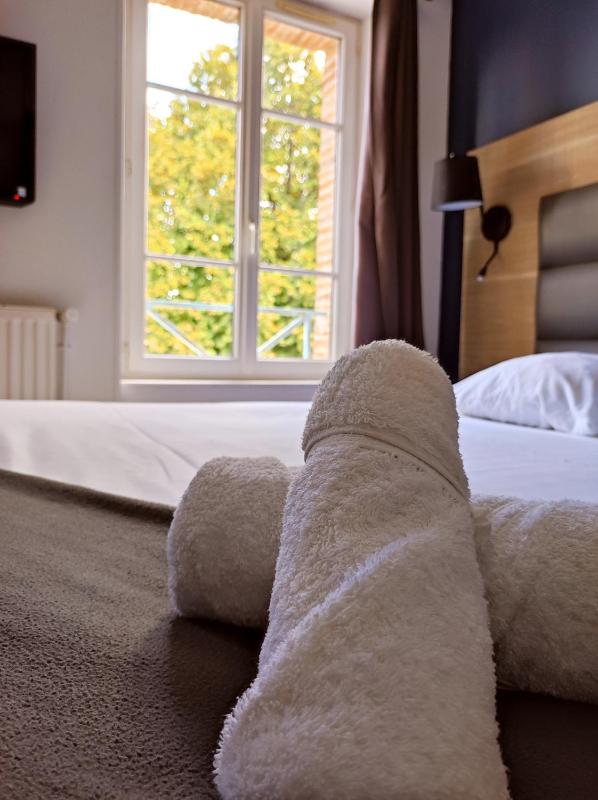 Double or Twin Room image 2