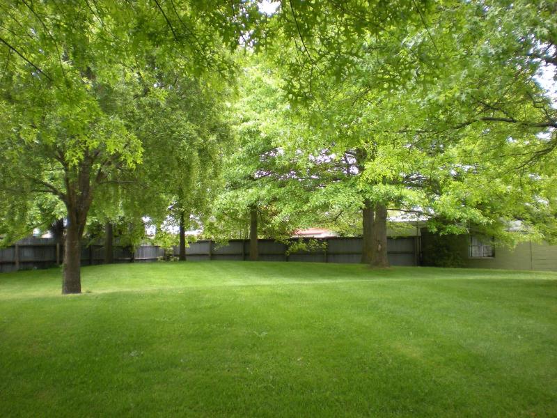 Christchurch Park Motel - image 14