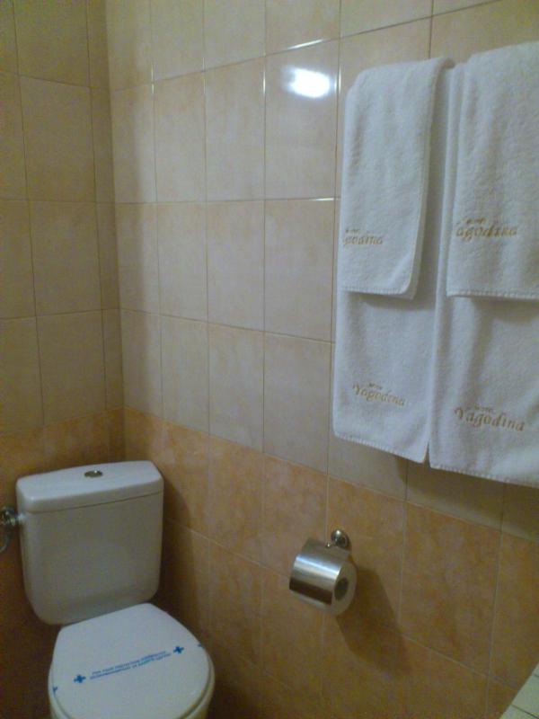 Single Room image 2