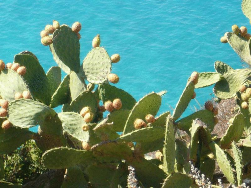 Hotel Virgilio - image 6