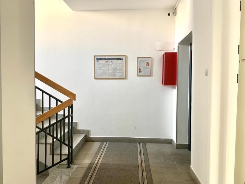All White - image 13