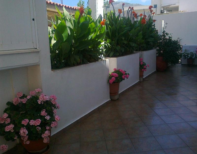 Apartment with Mountain View image 4