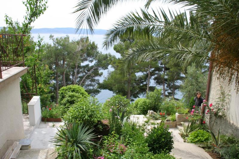 Apartments by the sea Brela Makarska - 2718 - image 33