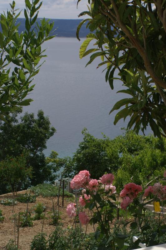 One-Bedroom Apartment with Terrace and Sea View image 2