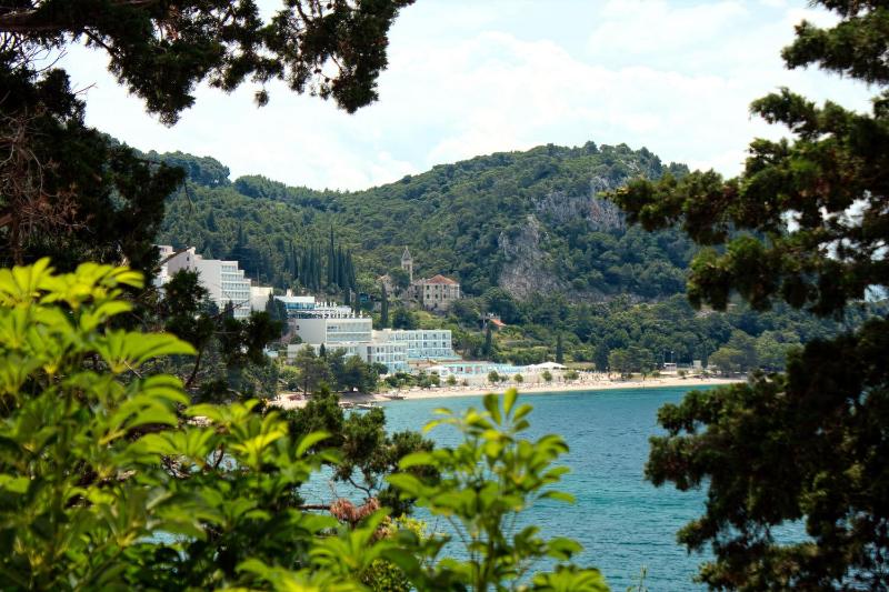 One-Bedroom Apartment with Terrace and Sea View image 2