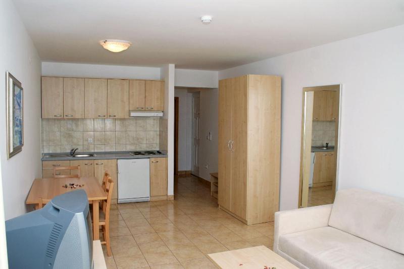 One-Bedroom Apartment image 3