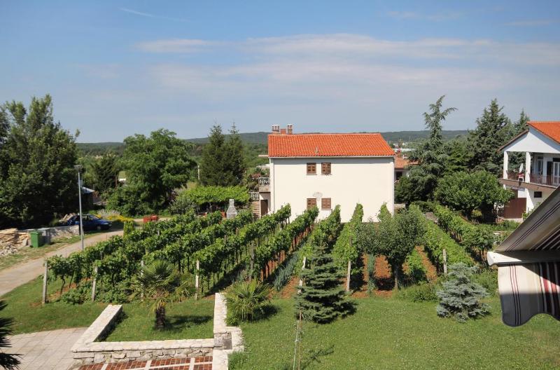 Family friendly apartments with a swimming pool Strmac Labin - 5527 - image 22