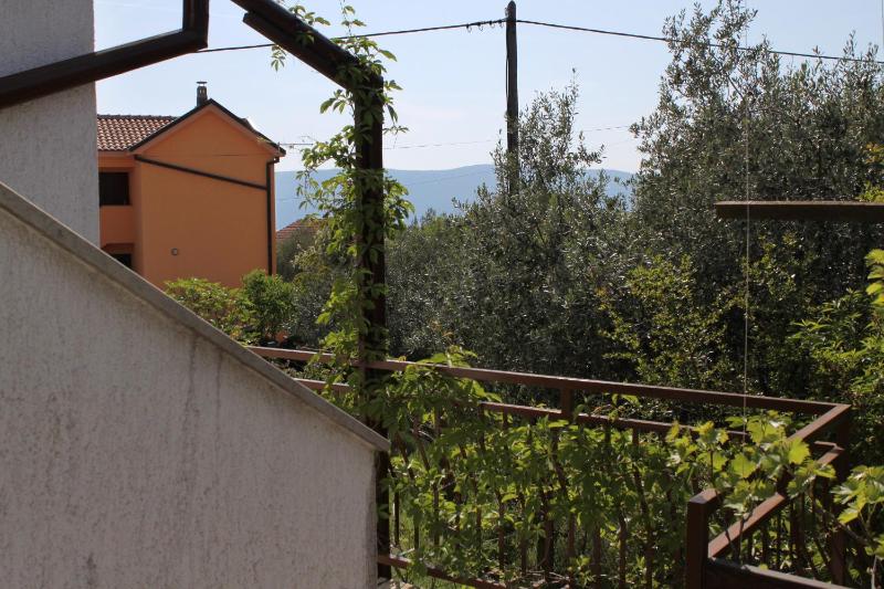 One-Bedroom Apartment with Terrace image 2