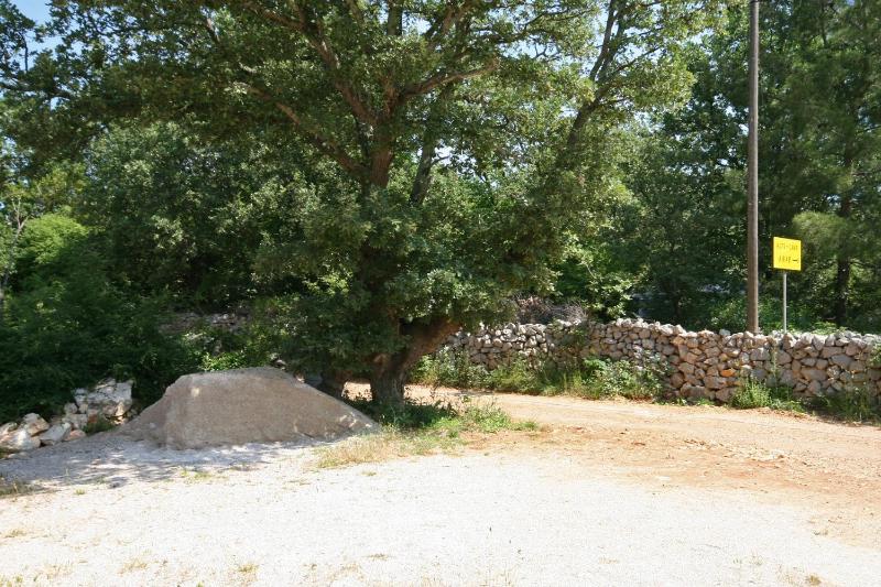 One-Bedroom Apartment with Terrace image 3