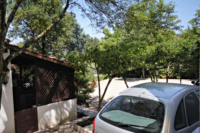 Studio with Terrace image 2