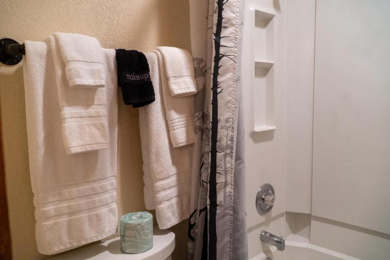Suite with Mountain View image 3