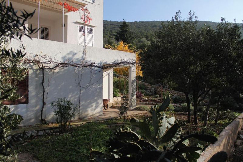 Studio with Terrace image 2