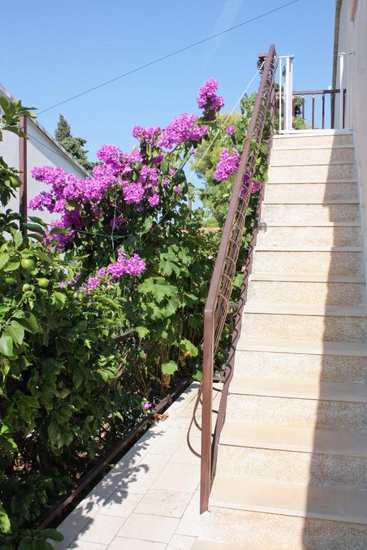 Apartments with parking space Supetar Brac - 5653 - image 14