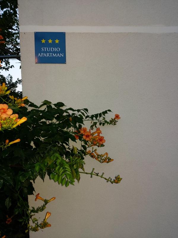 Apartment image 1