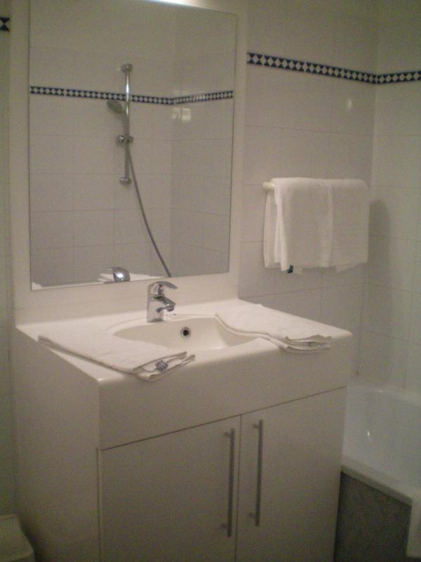 One-Bedroom Apartment (5 Adults) image 3