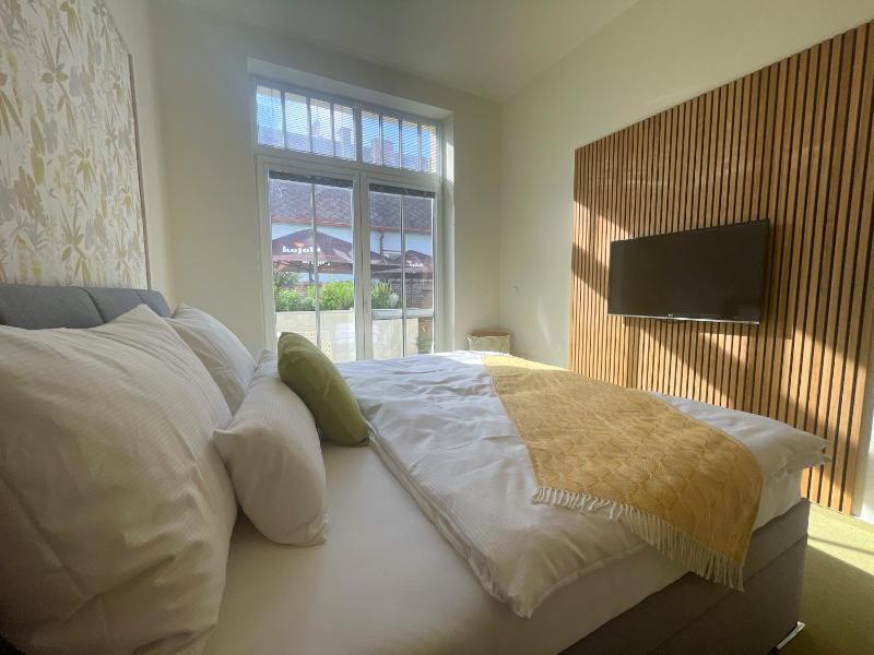 Apartment - Disability Access image 4