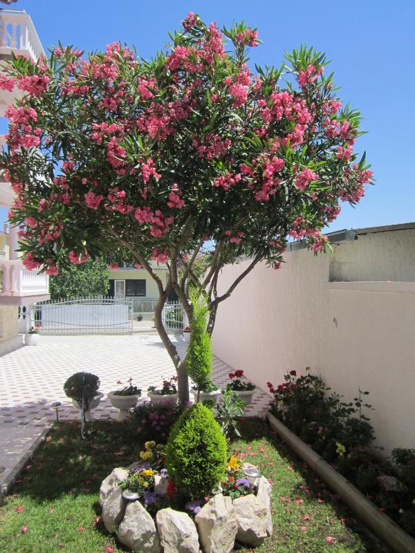 Apartments with a parking space Vodice - 6331 - image 2