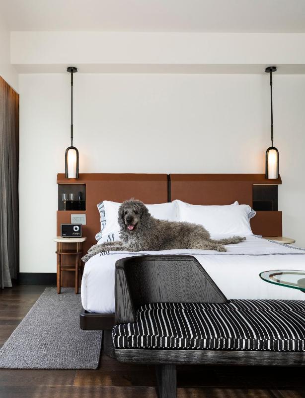 King Room with Accessible Shower - Disability Access image 3