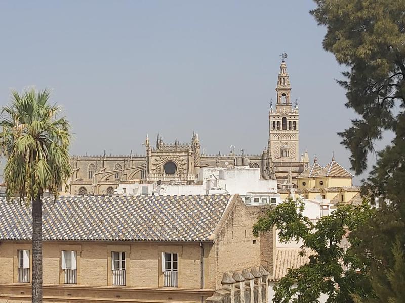 Miisterhost La Casa de San Fernando con vistas a los Reales Alcázares - image 7