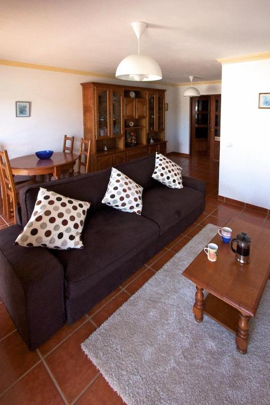 One-Bedroom Apartment image 2