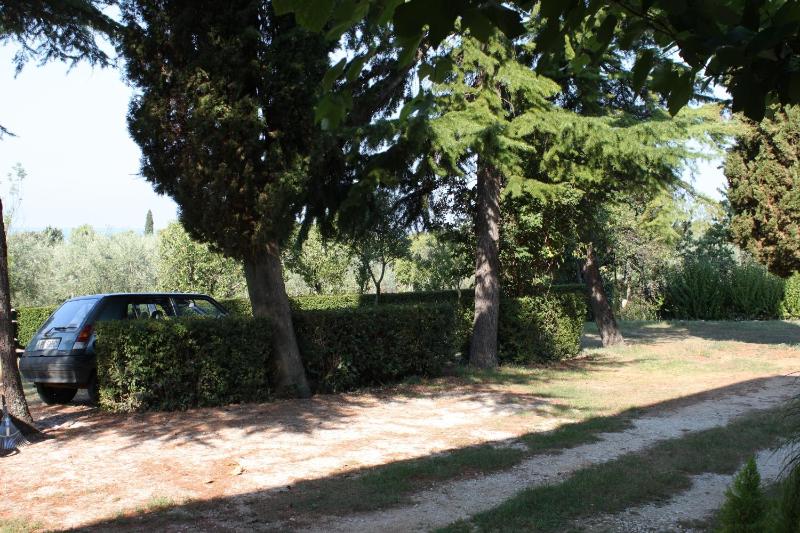 One-Bedroom Apartment with Terrace image 2