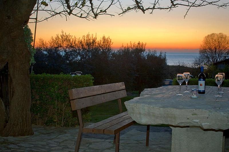 One-Bedroom Apartment with Terrace image 4