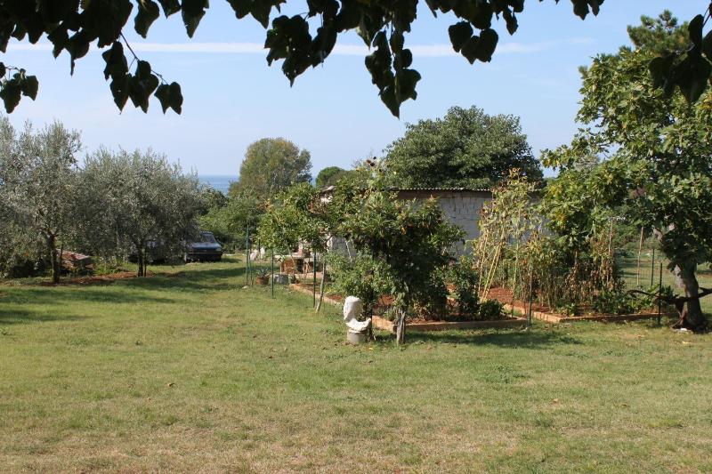 One-Bedroom Apartment with Terrace image 3