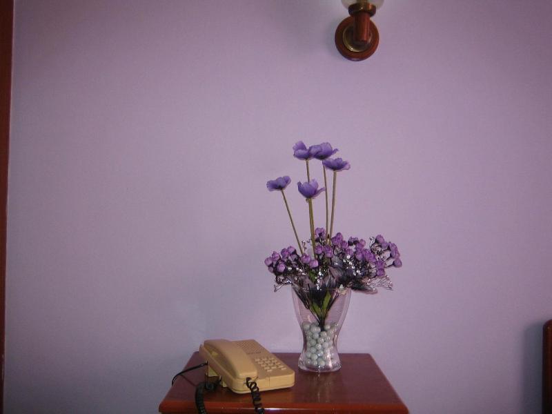 Standard Single Room image 2